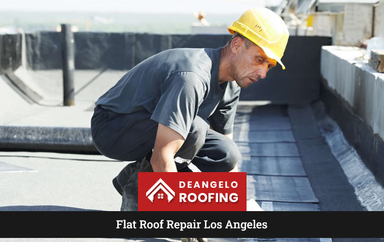 Professional repairing a flat roof